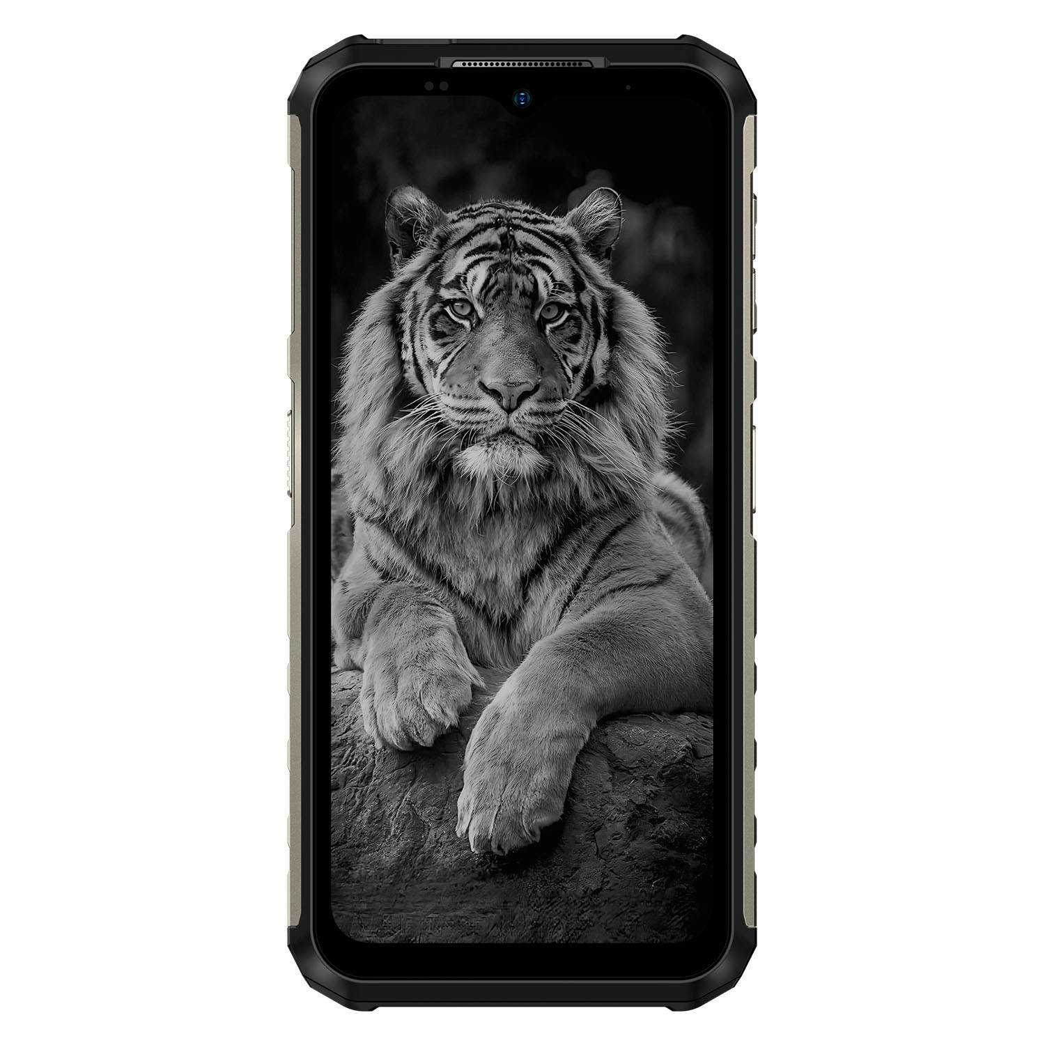Смартфон Ulefone Armor 22 Pro 8GB/256GB (черный)
