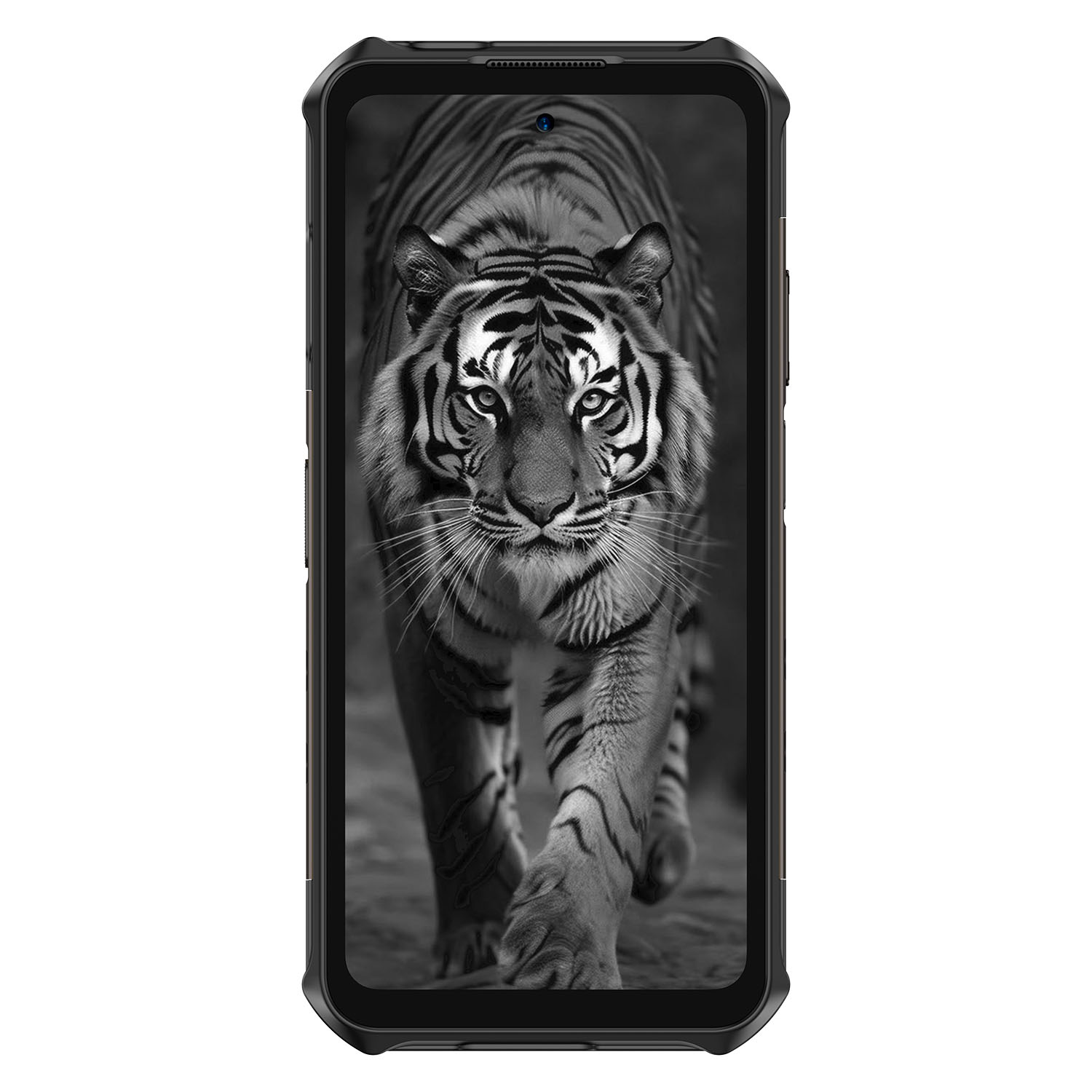 Смартфон Ulefone Armor X16 Pro 8GB/256GB (черный)