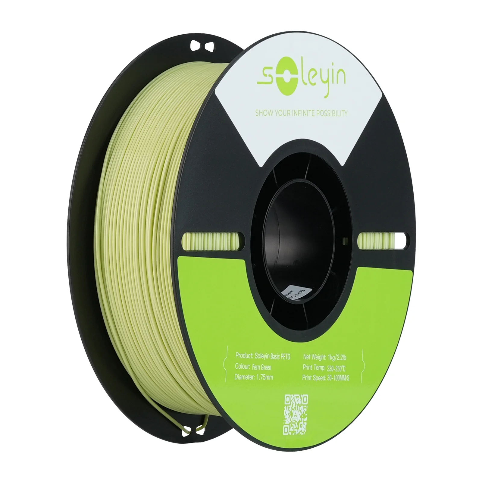 Филамент Creality PETG Basic Soleyin, 1.75 мм, 1 кг, зеленый папоротник