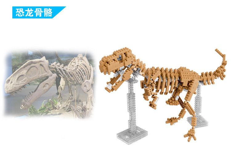 Конструктор из блоков Dinosaur Skeleton (66506)