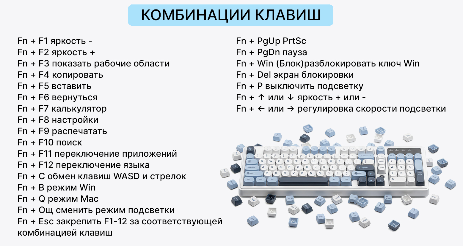 6_.jpg