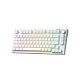 Проводная игровая клавиатура FURYCUBE IP75 (белый)